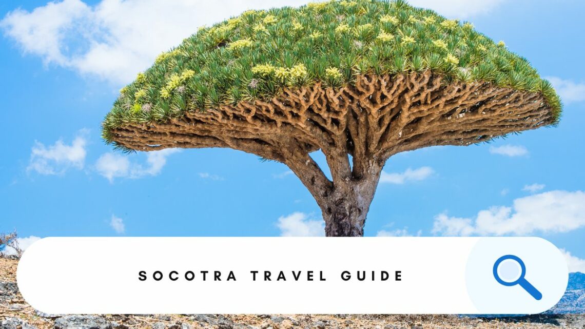 Socotra Travel Guide