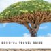 Socotra Travel Guide