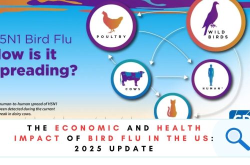 impact of bird flu