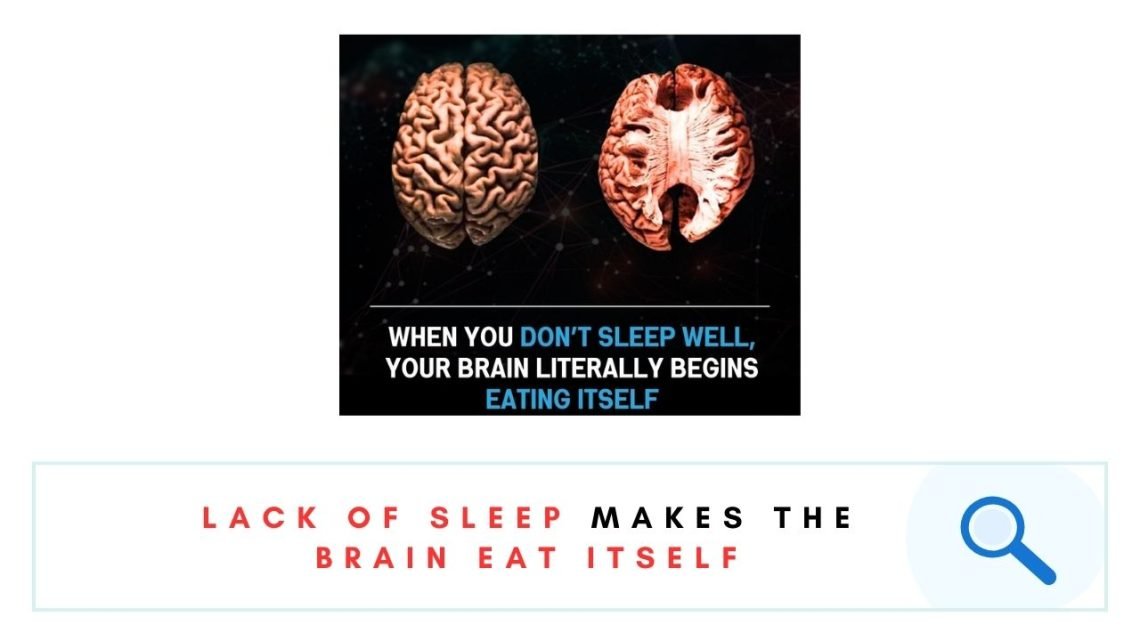 brain eat itself
