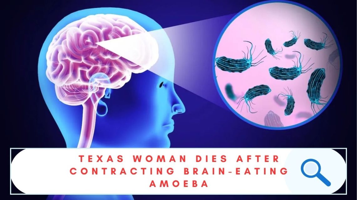 BRAIN-EATING AMOEBA