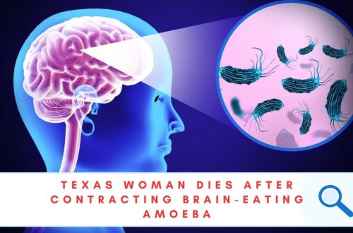 BRAIN-EATING AMOEBA